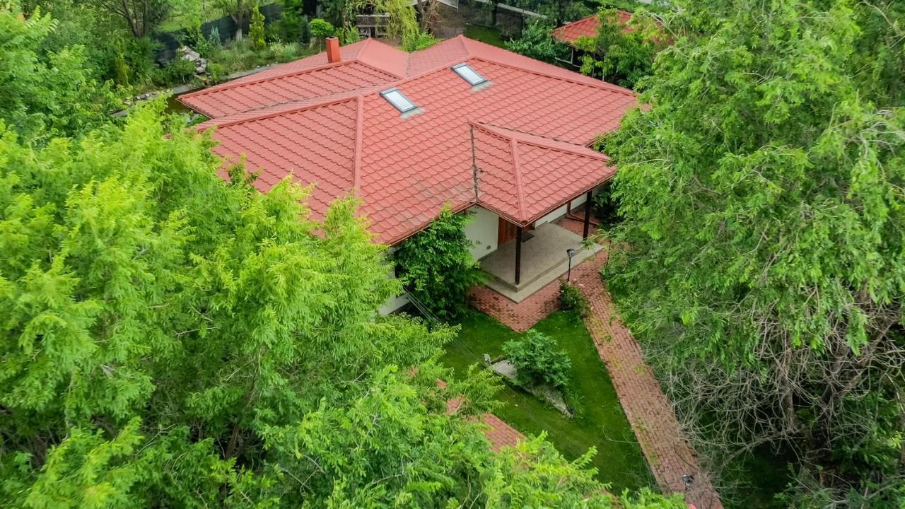 Casa Arcadia 1 Piscina,Jacuzzi, Sauna Бузэу Экстерьер фото