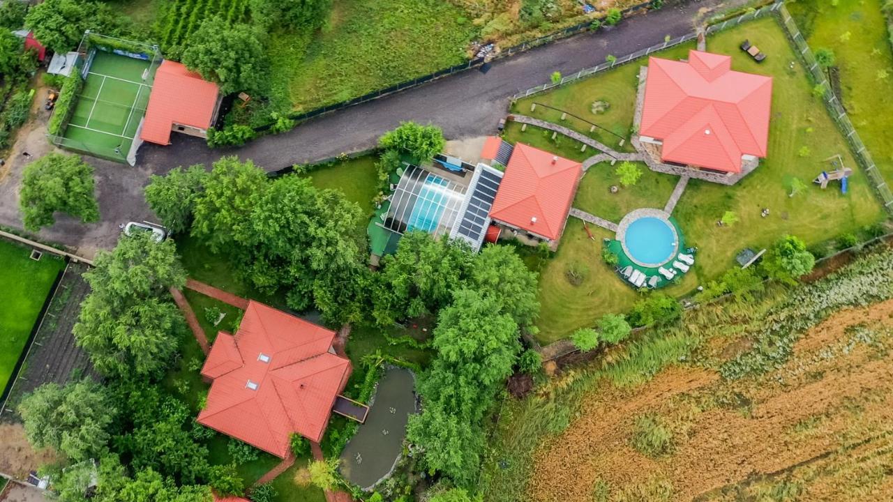 Casa Arcadia 1 Piscina,Jacuzzi, Sauna Бузэу Экстерьер фото