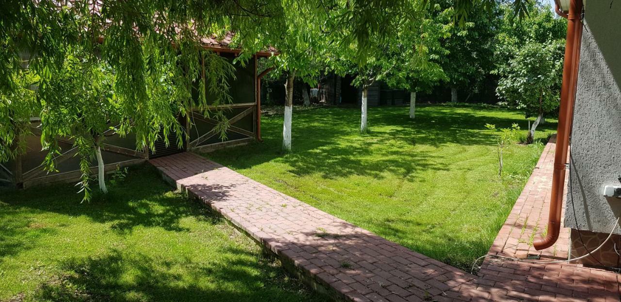 Casa Arcadia 1 Piscina,Jacuzzi, Sauna Бузэу Экстерьер фото